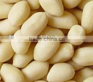 Roasted Peanut