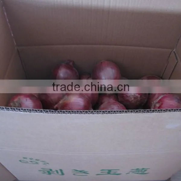 2014 Fresh Red Onion China Wholesale photo-3