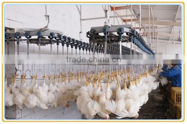 Long Time Working Chicken Feather Removal Machine for Removal Feather/chicken Slaughter Machine photo-2