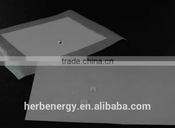 Chinese New Products 2016 Healthcare Product Chinese Transdermal Patch photo-5