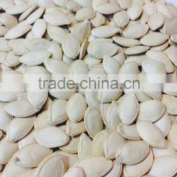 Bulk Vegetable Seeds China Shine Skin Pumpkin Seeds Grade a photo-2