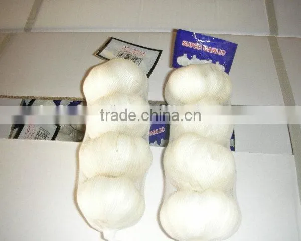 Garlic Price in China photo-2