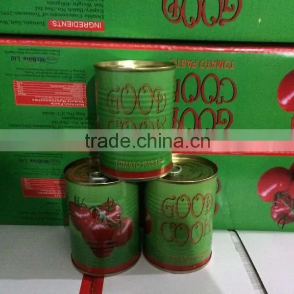 Brix 28/30 Tinned Tomato Paste 70g, 210g, 400g, 800g, 2200g for West Africa
