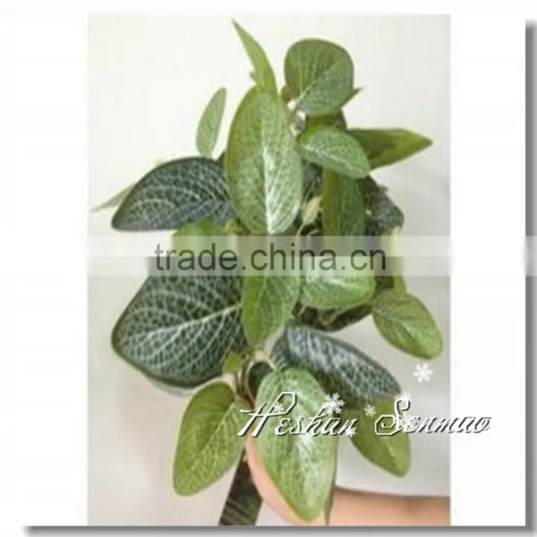 Factory Price High Quality Artificial Ivy Vines for Sale photo-2