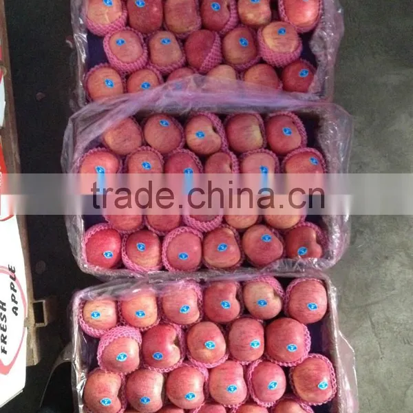 Hot Sell Red Qinguan Apples Shanxi Qinguan Apples Exporter photo-5