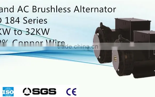 20kw ac Single Phase Output Type Generator photo-2