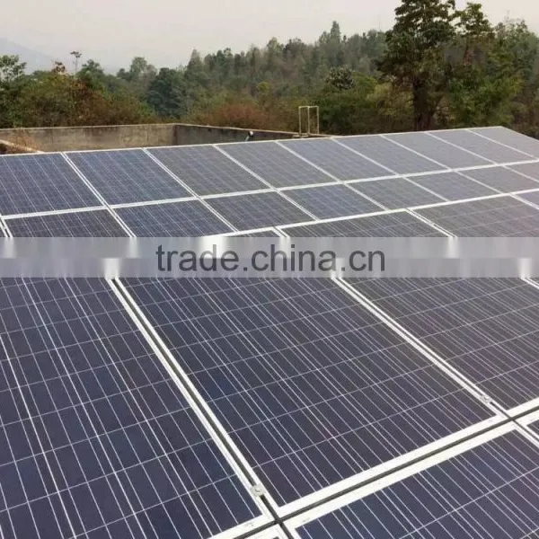 High Efficiency Good Quality Poly 300Watts PV Panels in Mexico Soalr Panel System photo-3