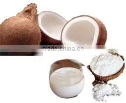100% Natural Coconut Milk Powder no Preservative Private Label OEM