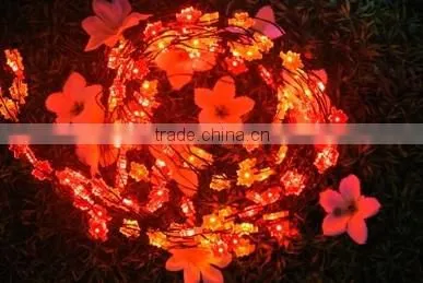 LED Festival Lights photo-4