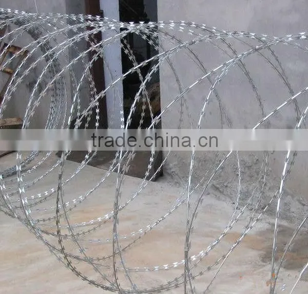 Hot Dipped gi Barbed Wire Cheap Price per Roll (Tommy,website:zheng.tommy1,whatsapp/viber/wechat:86-18032821161)