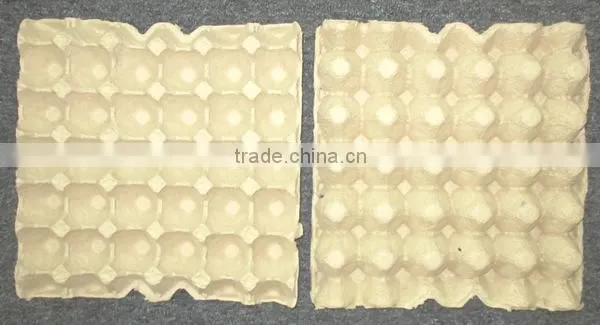 Pulp Paper Egg Tray of 30 Cells photo-5