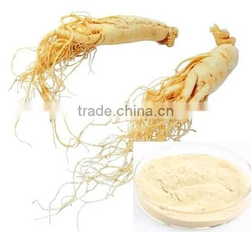 Ginseng Extract 20% Ginsenosides Very Low Pesticide Residues
