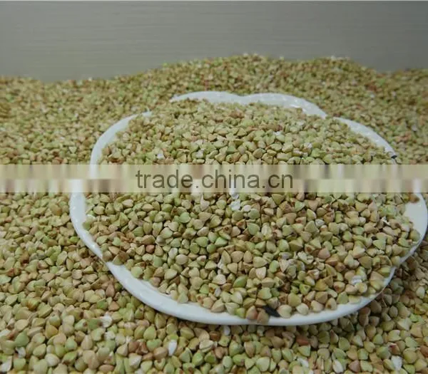 Chinese Best Raw Buckwheat Kernel photo-3