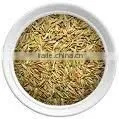 Cumin Seeds photo-2