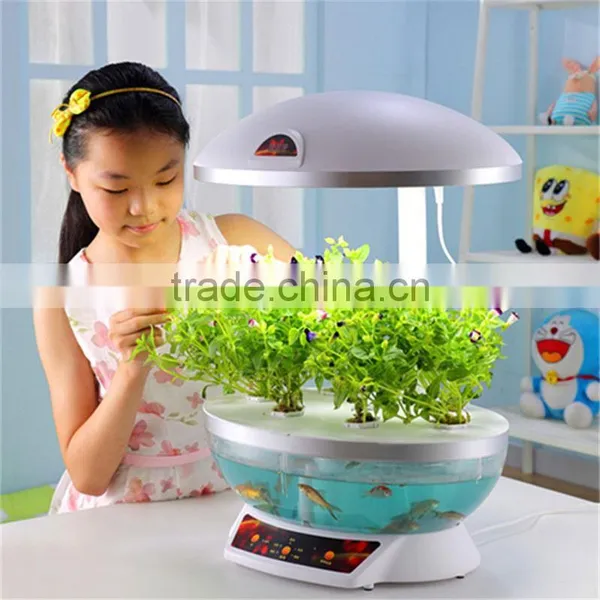 Large Fish Tank Aquarium photo-4