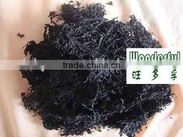 roasted nori,seaweed nori/sheet for Janapnese sushi,soup