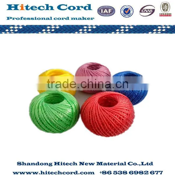 PP Raffia Twine for Packaging photo-4