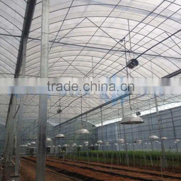 Cheap Greenhouse Plastic photo-2