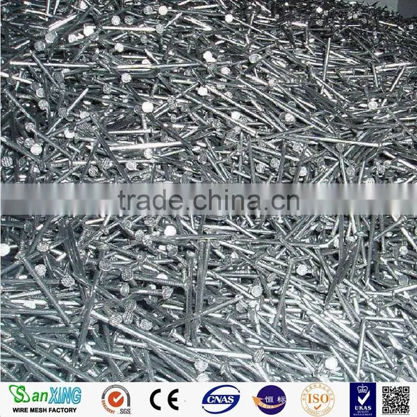 Common Nail Price of Iron Nail Factory photo-3