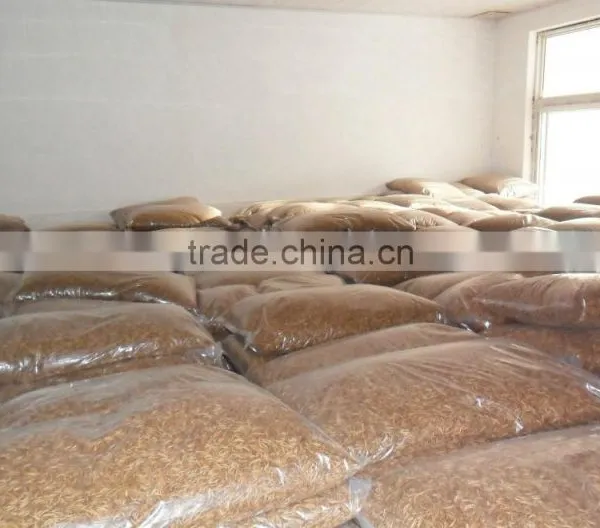 Aquarium Fish Food Dried Yellow Mealworms photo-3