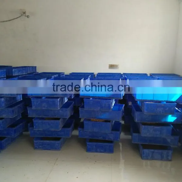 Poultry Feed Manufacturer Dried Mealworm photo-2