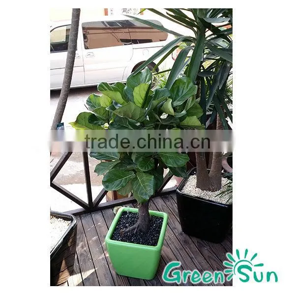 Square Plastic Flower Pots photo-2