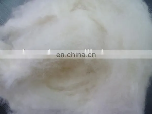 100% Chinese Scoured Sheep Wool photo-2