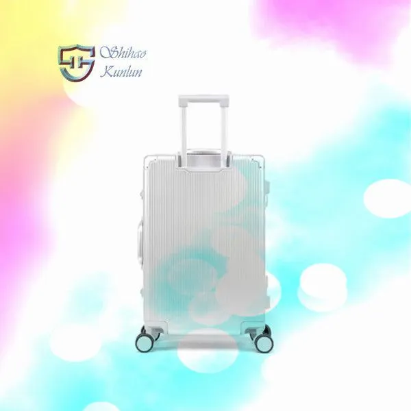 Fashionable Two-Piece ABS/PC Spinner Luggage Sets 2 Piece Traveling Suitcase Stylish and Convenient
