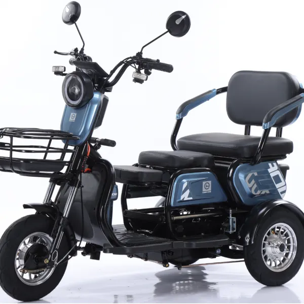 2025 Best 3 Wheel Passenger Tricycle Two Seat 48v Electric Tricycle Bike for Adults and Old People photo-3