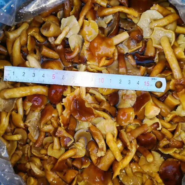 Nameko in Brine B Grade