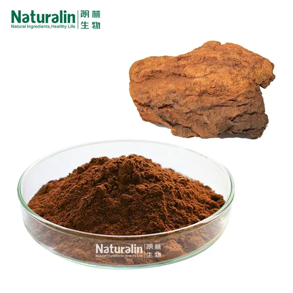Chaga Mushroom Extract photo-4