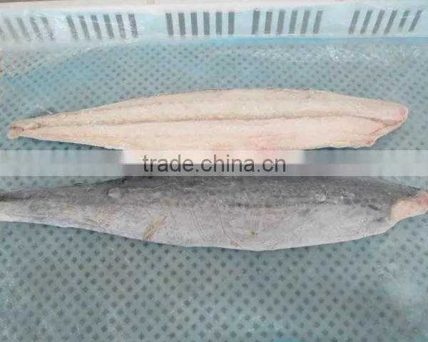 Spanish Mackerel Fillet