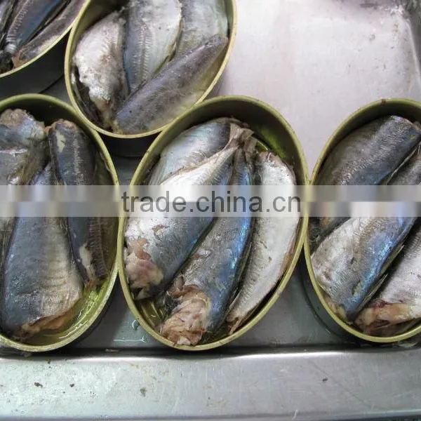 Oval Canned Sardine photo-3