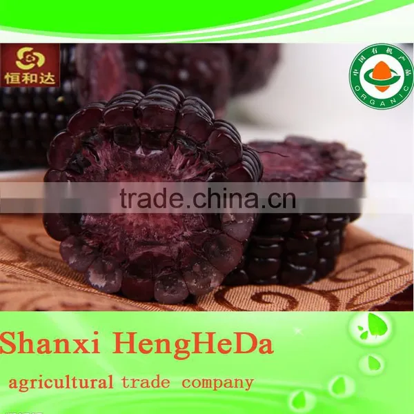 China Products Yellow Corn photo-3