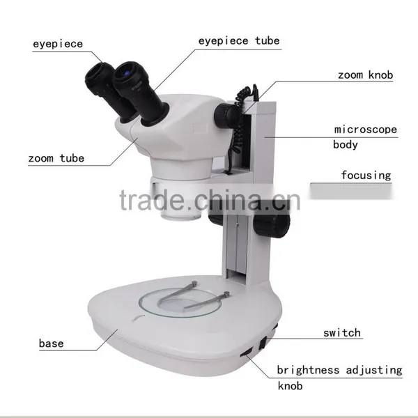 Series Zoom Stereo Microscope photo-3