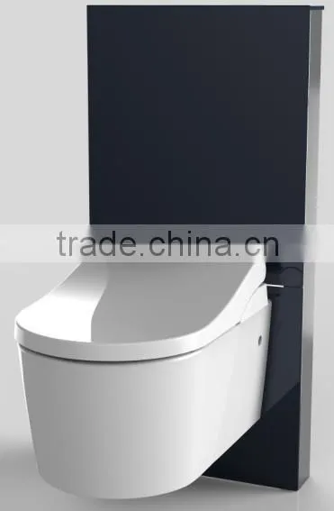 Cabinet concealed cistern with front of glass integrated with electronic bidet seat
