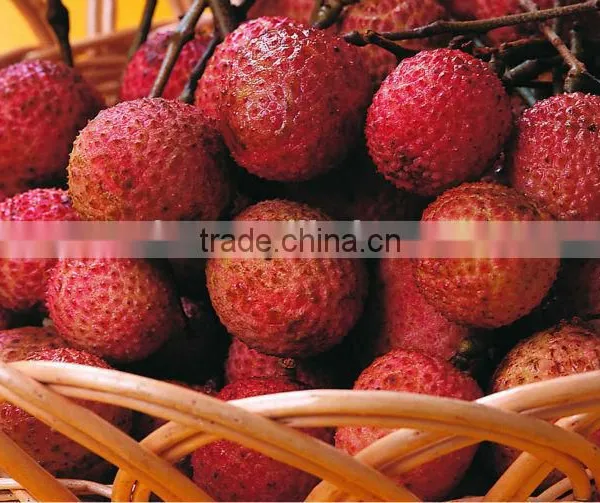 Canned Foodstuff Chinese Canned Lychee in Syrup photo-5