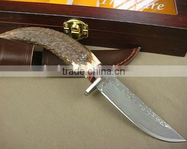 OEM Damascus Blade Material Antlers Handle Collection Boutique Knife photo-2