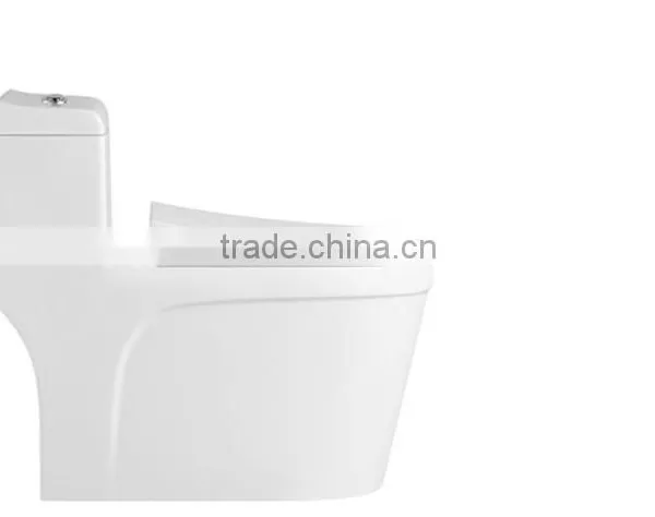 Ceramic Floor Mounted 300 400mm Roughing in Siphonic Toilet photo-2