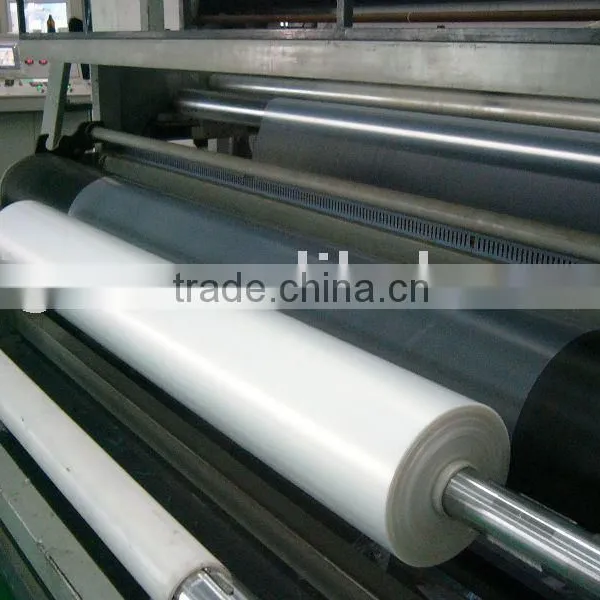 Plastic Packaging Film