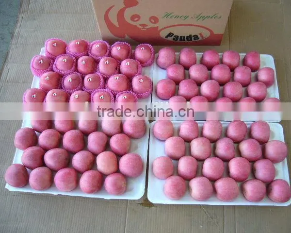 Apple Fruit Fresh Fully Blush
