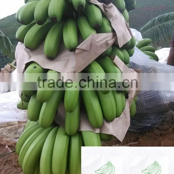 Direct Factory Price the Good Quality Ethylene Ripener for Banana(12) photo-3