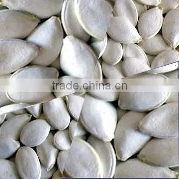 Snow White Pumpkin Seeds