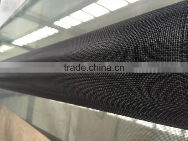 Black Coated Mesh for Window and Door/ Black Coated Insect Screen/black Coated Mesh Screening photo-2