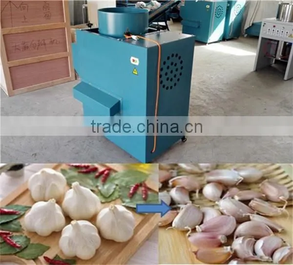The Price of Garlic Separator Machine and Peeling Machine in China Factory photo-4