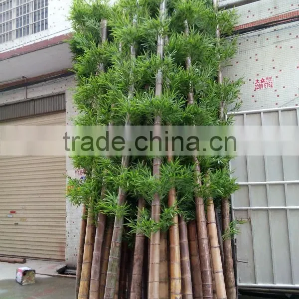 SJ030936 Bamboo Ornamental Plants Artificial Plant Artificial Bamboo Products photo-6