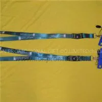 Lanyard