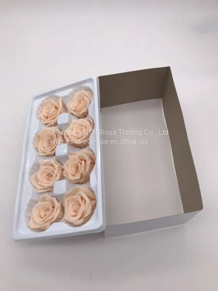 Preserved Flowers Wedding Bridal Bouquets Natural Eternal Roses photo-4