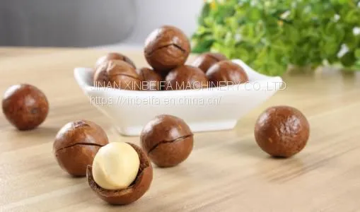 Macadamia Nut Drying Machine photo-4