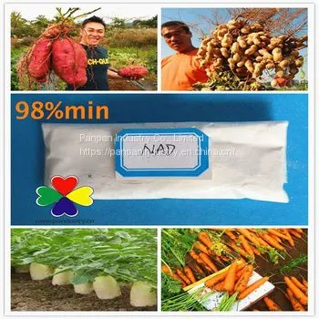 Plant Growth Regulator Organic Fertilizer 1-Naphthyl-acetamide 98%TC Take Rooting Series photo-2